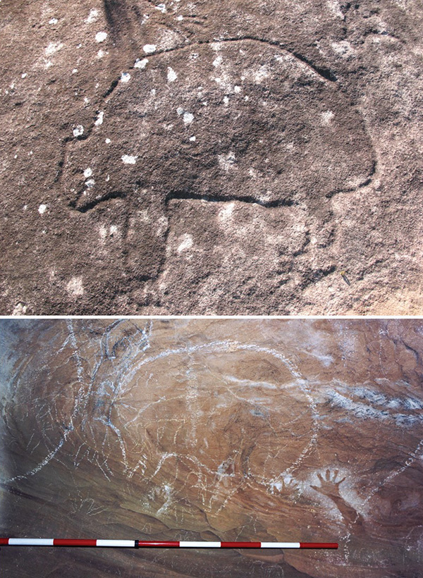 Cave art depicts wombats.