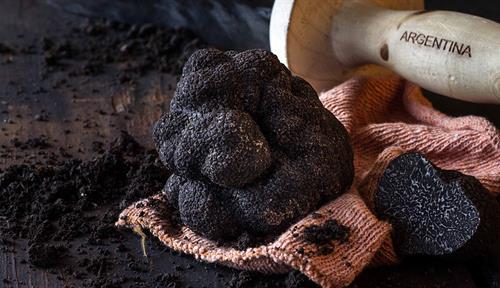 On a dark wooden board, a black truffle rests on an orange cloth and, in the background, a knife with the word 'Argentina' written on its wooden handle.