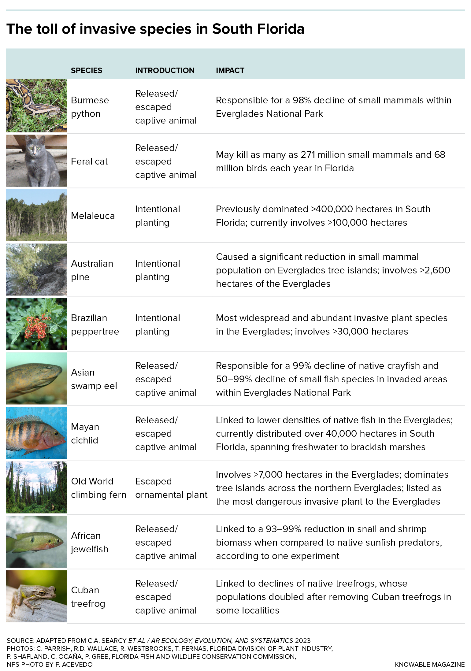 A table notes some of the most problematic plants and animals now living freely in South Florida, as well as how they were introduced and how much land is affected.