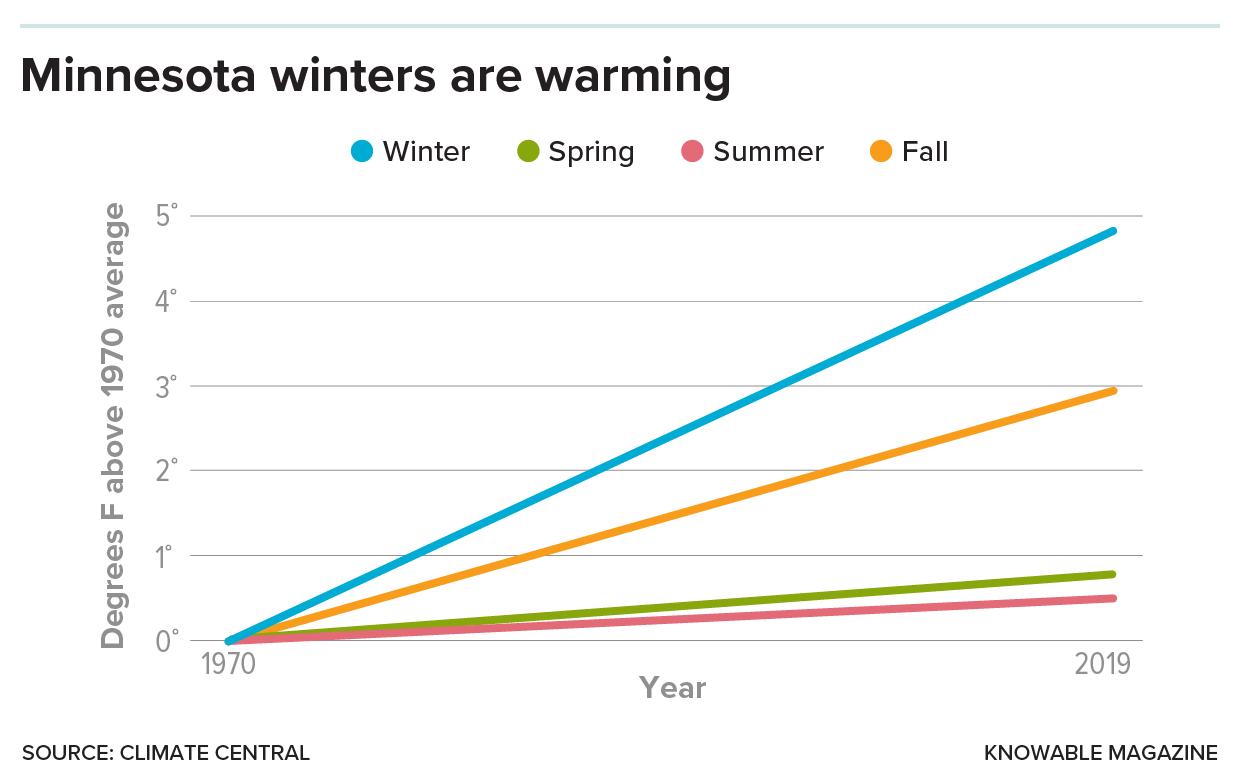 A graph with four lines depicting winter, spring, summer and fall. The horizontal axis is years from 1970 to 2019. The vertical axis is degrees F above 1970 average. All four lines rise over the decades but the steepest rise by far is seen in the line representing winter.