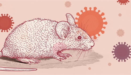 Conceptual illustration showing a mouse and virus particles